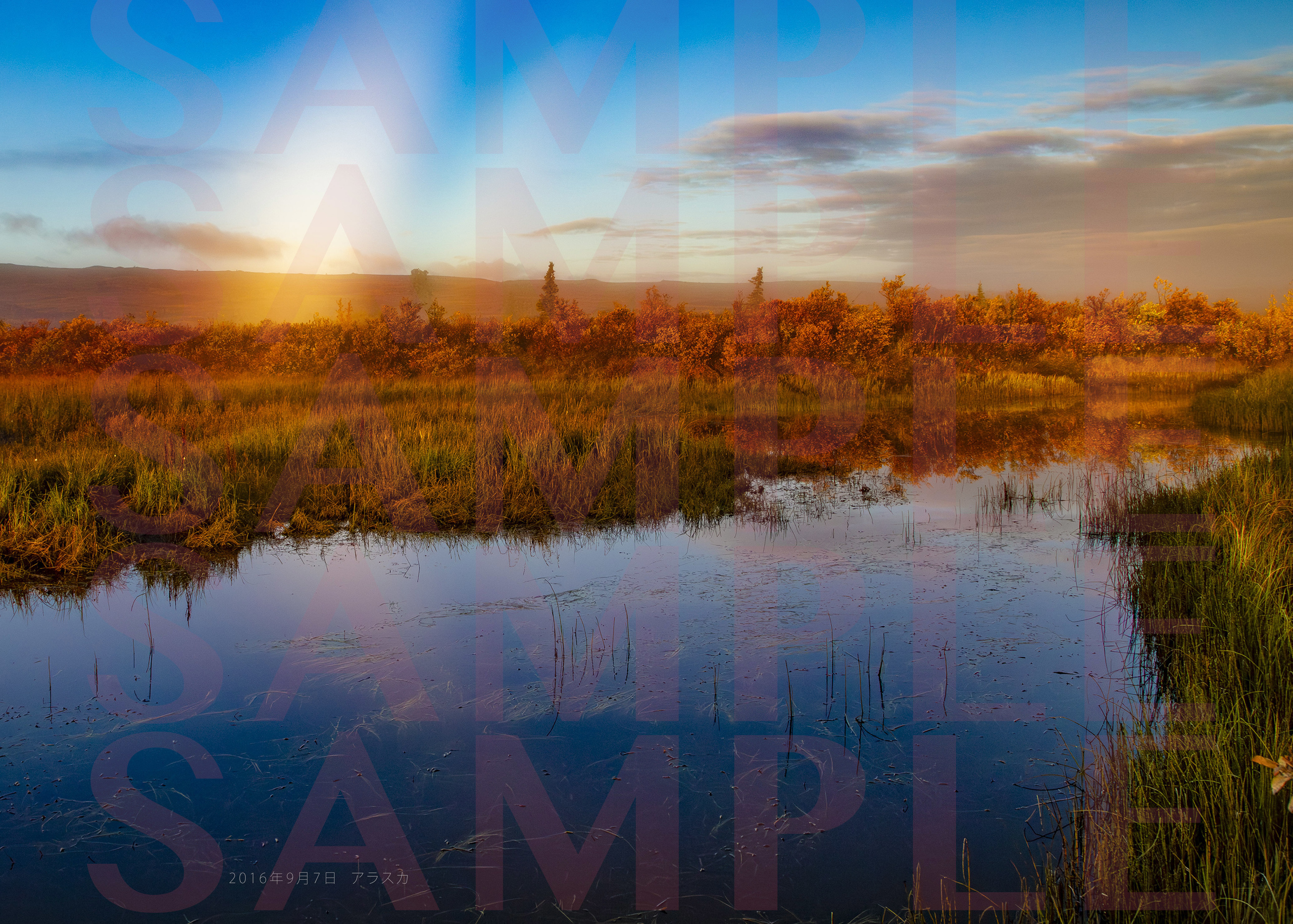 sample02.jpg
