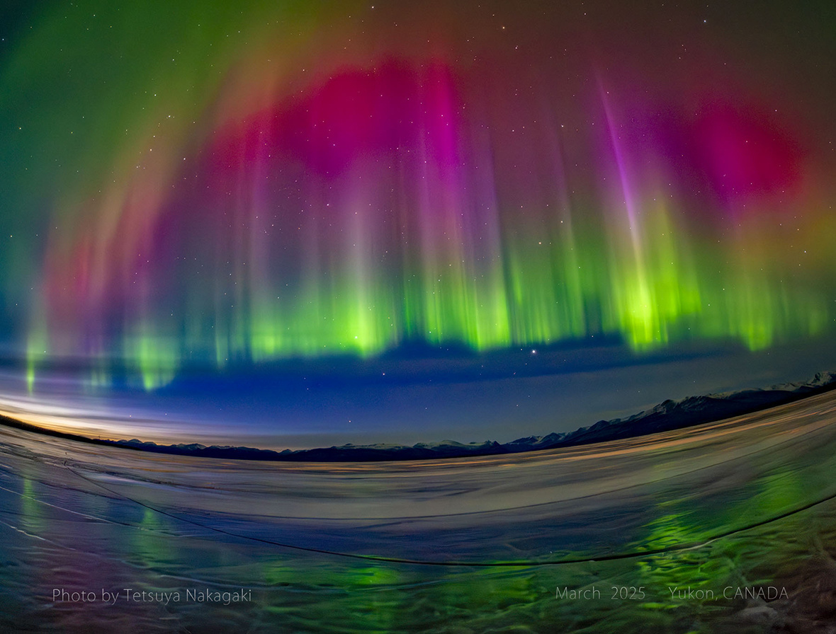 芸術写真 Aurora Dance 110/1000 芸術写真 Aurora Dance 110/1000 Japan Dancers' Championship 2025